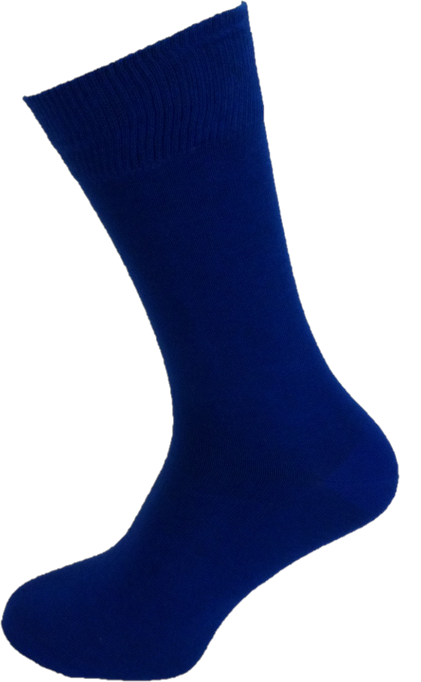 Mens 2 Pair Pack Royal Blue Retro Socks