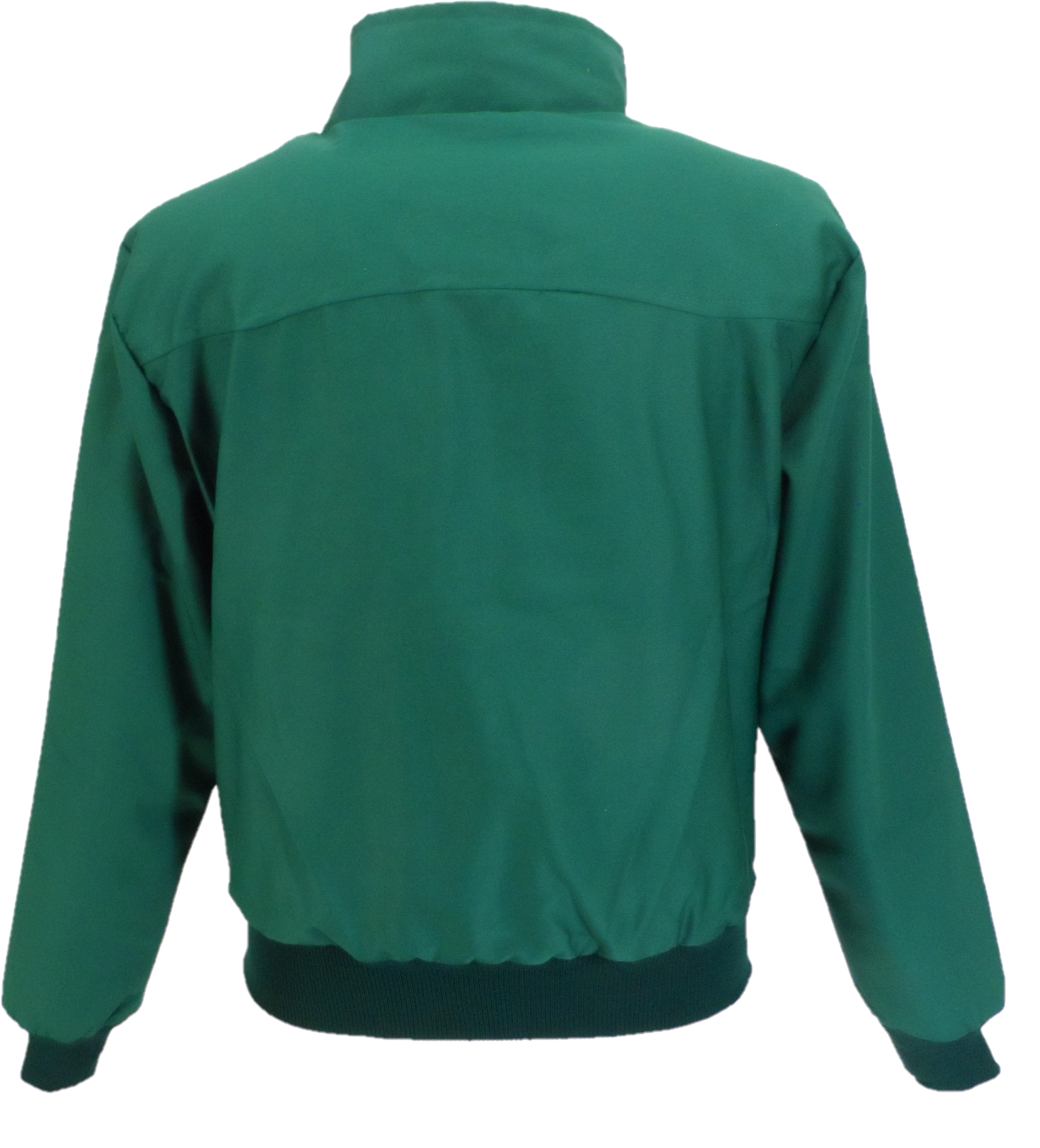 Green jacket shown from the back on a white background